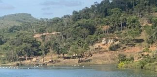 Mulher tem parte do couro cabeludo arrancado após acidente com moto aquática em Mariana