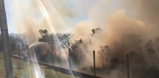 VÍDEO: Em Água Limpa, Itabirito, incêndio perto da Coca-Cola mobiliza bombeiros