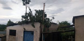 Queda de árvores, casas destelhadas: Chuva de granizo assusta Cachoeira do Campo; FOTOS