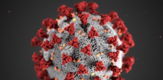 Mesmo após exame PCR negativo, paciente é considerado 20ª vítima fatal da Covid-19 em Itabirito