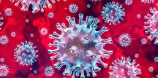 Apesar do 2º caso da variante Delta em Itabirito, UPA está há 3 dias sem pacientes com Covid