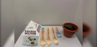 Pés de maconha são apreendidos na casa de casal suspeito de tráfico, em Ouro Preto; 3 presos