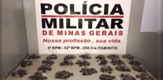PM apreende 502 buchas de maconha no bairro Padre Adelmo, em Itabirito