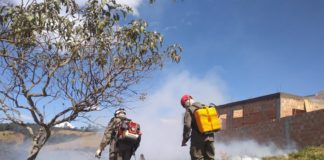 Sobrecarga: Só neste ano, Brigada de Itabirito atendeu a mais de 100 ocorrências de incêndio