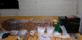 Ouro Preto: PM encontra 180 barras de maconha enterradas em Amarantina