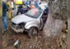 Carro se choca contra árvore após jovem de 23 anos perder o controle da direção na BR-040; fotos