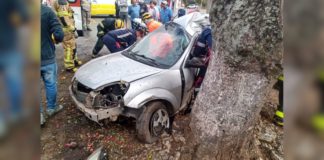 Carro se choca contra árvore após jovem de 23 anos perder o controle da direção na BR-040; fotos