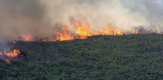 Incêndio de grandes proporções castiga Parque Estadual do Itacolomi, em Ouro Preto