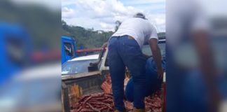 Itabirito: 401 quilos de carne imprópria para consumo são apreendidos em açougue