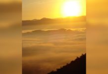 Ticket do dia seguinte