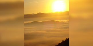 Ticket do dia seguinte