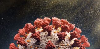 Variante Ômicron: Secretaria de Estado da Saúde ainda não confirma caso em Minas