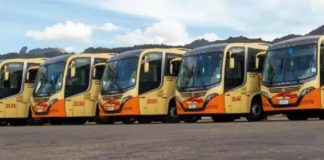 Mariana terá transporte público gratuito a partir de janeiro