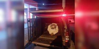 Em Itabirito, homem desfere 7 facadas em ex-namorada e é preso pela Romu