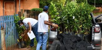 São Gonçalo do Monte recebe mudas frutíferas produzidas no Viveiro da Prefeitura de Itabirito