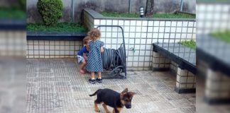 Córrego do Bação, Itabirito: família pede ajuda para reencontrar filhote de pastor-alemão