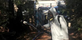 Itabirito realiza ações de combate à dengue