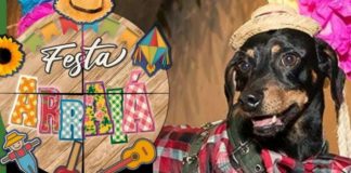 ONG Vidanimal promove “Arraiá” no próximo dia 12 de junho