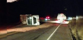 Com 32 toneladas de cavaco de eucalipto, carreta tomba na BR-356, em Ouro Preto