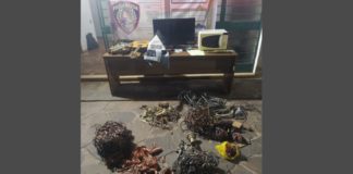 Ribeirão do Eixo, Itabirito: em ação rápida, PM prende em flagrante 5 envolvidos em furto a sítio