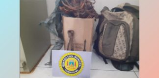 Itabirito: GM detém 2 suspeitos de furtar fios de cobre; 1 deles faz parte de dupla assassina