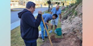 Itabirito: família Braga e Prefeitura plantam ipês e quaresmeiras no Parque e nas intermediações