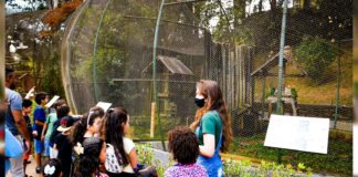 Mais de 700 crianças participam das Férias no Parque Ecológico de Itabirito