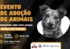 Mariana: neste domingo tem adoção de animais na Praça Gomes Freire