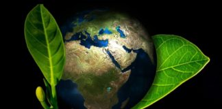 Itabirito: Coca-Cola abre inscrições para formação gratuita em meio ambiente e sustentabilidade