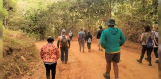 Caminhadas na Natureza: 4ª edição do projeto será domingo (25/9), em Acuruí Caminhadas na Natureza. Foto - Divulgação