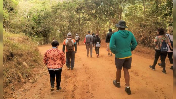 Caminhadas na Natureza. Foto - Divulgação