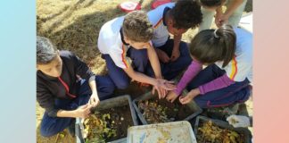 Itabirito: alunos do Cemi criam minhocas em projeto de produção de adubo e reaproveitamento Projeto do Cemi desenvolve minhocários e aprimora relação de alunos com o meio ambiente. Foto - Prefeitura de Itabirito