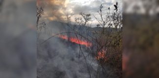 Itabirito: incêndio criminoso destrói 5 hectares de mata perto da quadra de tênis Segundo morador local, os autores do incêndio foram vistos e reconhecidos. Foto - Brigada Municipal