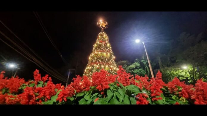 Árvore de Natal na Praça da Bandeira, Centro de Itabirito. Foto - Radar Geral