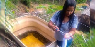 39 casos de dengue registrados em Itabirito de janeiro a outubro deste ano Ação da Prefeitura de Itabirito de combate à dengue. Foto - Prefeitura de Itabirito