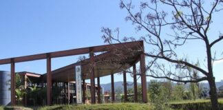 Aos 94 anos, ex-professor da UFOP morre após agressões em assalto