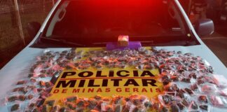 BR-356: 1,5 kg e mais 317 buchas de maconha são apreendidos em ônibus da Pássaro Verde, em Itabirito PMRv coletou alta quantidade de maconha - Foto: PMRv