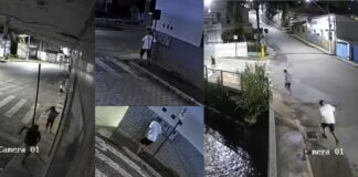 Itabirito: jovem desliga energia de laboratório e R$ 15 mil em vacinas são perdidos; veja vídeo