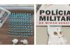 Itabirito: em denúncia de violência doméstica, PM encontra 108 pinos e 2 pedras brutas de cocaína Drogas apreendidas pela PM de Itabirito em 2 ocorrências. Foto - PMMG
