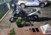 Itabirito: após denúncia de manobra perigosa, PM prende 2 e apreende moto, ecstasy e pés de maconha Materiais e drogas apreendidos pela PM de Itabirito. Foto - PMMG