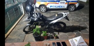 Itabirito: após denúncia de manobra perigosa, PM prende 2 e apreende moto, ecstasy e pés de maconha Materiais e drogas apreendidos pela PM de Itabirito. Foto - PMMG