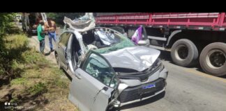 Vaca morre ao ser atropelada na MGC-122 e passageiro é levado de helicóptero para hospital Vaca morre ao ser atropelada na MGC-122 e passageiro é levado de helicóptero para hospital