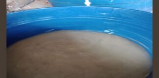 Água suja em Ouro Preto: “Nunca vi nada parecido”, diz profissional em limpeza de caixas d’água Água suja em Ouro Preto: "Nunca vi nada parecido", diz profissional em limpeza de caixas d'água