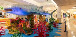 O Fantástico Mundo Marinho: exposição chega a Itabirito na próxima quarta-feira (22/3) Eposição O Fantástico Mundo Marinho. Foto - divulgação