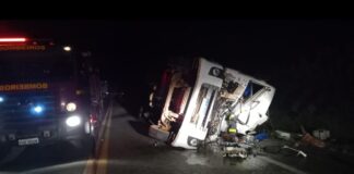 BR-265: ao tentar desviar de vacas, motorista de caminhão morre BR-265: ao tentar desviar de vacas, motorista de caminhão morre