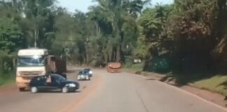 Imagens fortes: vídeo registra acidente que matou tio e sobrinho na BR-040, em Congonhas BR-040: vídeo registra acidente que matou tio e sobrinho em Congonhas