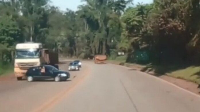 BR-040: vídeo registra acidente que matou tio e sobrinho em Congonhas