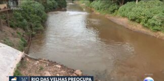 Rio das Velhas: água escura e morte de peixes em Rio Acima é destaque na TV Globo