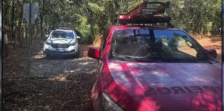 Nova Lima: após ouvir latidos de cão, homem encontra corpo com sinais de violência Nova Lima: após ouvir latidos de cão, homem encontra corpo com sinais de violência