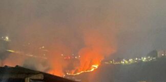 Itabirito: Brigada combate incêndio que atingiu 2.000 m² no Villa da Serra Itabirito: Brigada combate incêndio que atingiu 2.000 m² área com vegetação no Villa da Serra